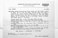 Image Associated With the Occurence